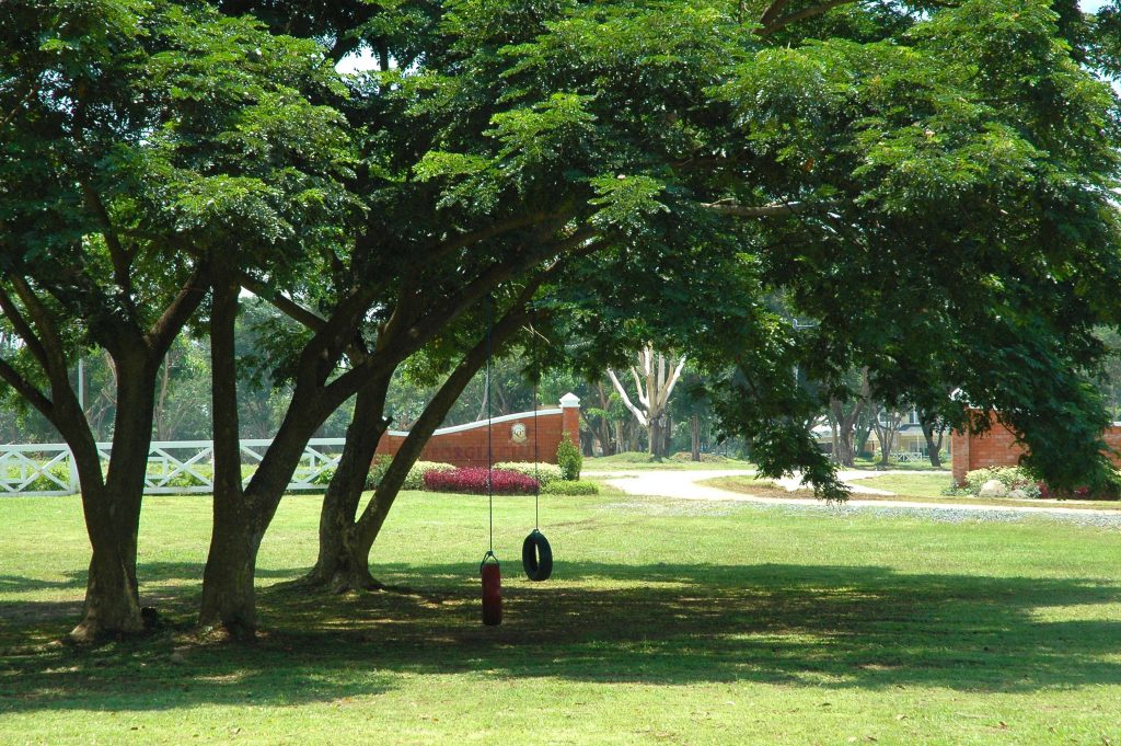 Beautiful lush green garden with tire swings hanging from trees right beside your luxury house and lot in Sta. Rosa | Luxury Homes by Brittany Corporation