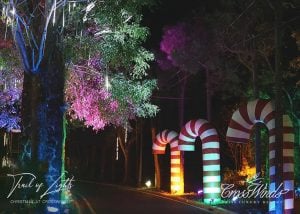 A night view of the Christmas festivities at the Pine Cone Trail at Crosswinds Tagaytay | Luxury Homes by Brittany Corporation