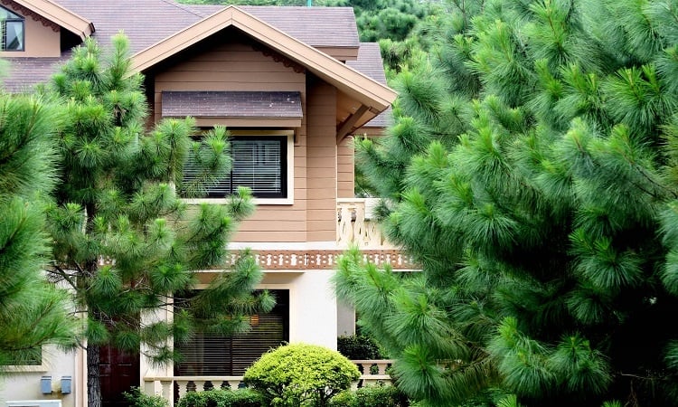 Exclusive condo living among the pine trees at Crosswinds Tagaytay | Luxury Homes by Brittany Corporation