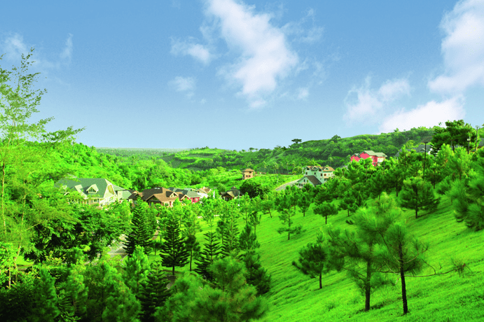 Photo of luxury lots with Pine trees within Crosswinds Tagaytay