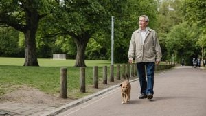 Old retired latin-american latino brown man with white gray hair in khaki long sleeves jacket, white collared polo shirt, blue denim jeans, and black loafers, walking his golden brown potcake aspin dog along the pavement road by the clean green grassy park close to nature with big old trees