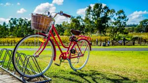 Red bike in an open space park in the luxury house and lot development where you stay active at home - Luxury Homes by Brittany