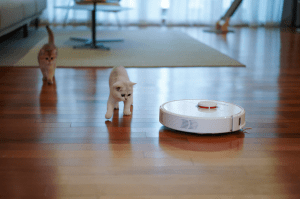 robot vacuum sweeping the floor next to two cats in a living room | Luxury Homes by Brittany Corporation