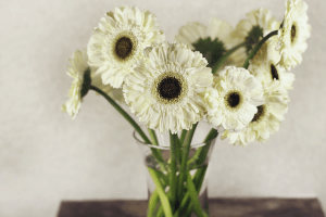 White gerbera daisies in a clear glass vase with water on a brown table indoors | Luxury Homes by Brittany Corporation