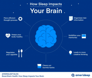 Infographic showing how sleep impacts the brain - Luxury homes for sale - Brittany Corporation