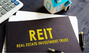 Real estate investment trust (REIT) - House and lot for sale, condo for sale, lots for sale - Brittany Corporation