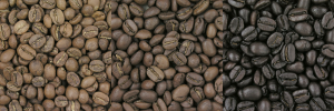 Blonde, Medium, and Dark roast coffee harvested near Crosswinds Tagaytay | luxury homes by brittany corporation 