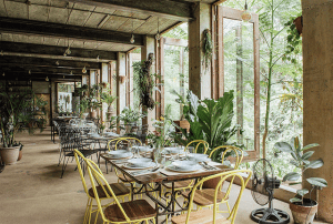 Burrow Cafe at Antipolo Beehouse | Luxury Homes by Brittany Corporation