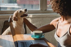 black woman petting golden mix breed dog at home while working and having coffee