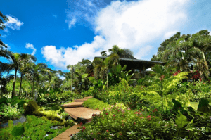 Preziosa Botanic Park & Farm Resort | Luxury Homes by Brittany Corporation