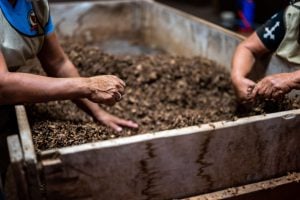 Two workers preparing soil in a container for composting | Luxury Homes by Brittany