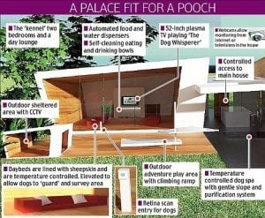 Infographic of healthy home or house for pets dogs and cats | luxury homes by Brittany Corporation