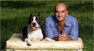 Black and white Pitbull dog with bald Western male pet owner lying on golden cushion in the grass outdoors | luxury lifestyle and homes by brittany corporation