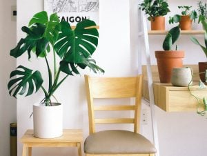 chair and plant in luxury condo | Luxury homes by brittany corporation