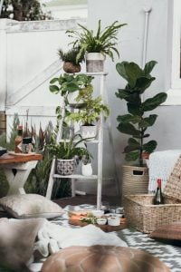 plants in blown plant boxes in luxury condo | Luxury Homes by Brittany Corporation 