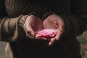 woman wearing cozy knitted sweater holding pink lotus flower on her palms for meditation | luxury lifestyle and homes by brittany corporation