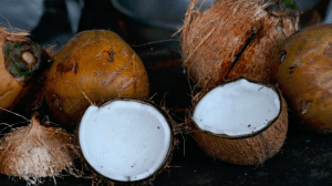 Coconut husks laid out - Luxury homes by Brittany