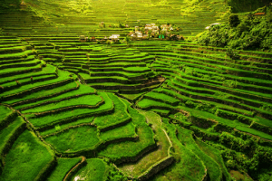 The Batad Rice Terraces in Banaue is one of the most iconic travel spots to visit in the Philippines