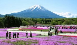 fuji-hakone-izu park | luxury homes by brittany corporation