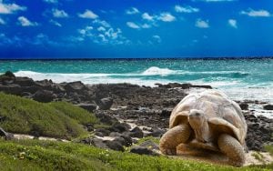 Galapagos | luxury homes by brittany corporation