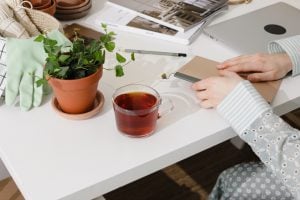 Picture of a desk with plants and other things such as laptop and notebook. | luxury homes by brittany corporation