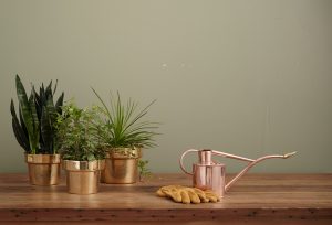 plants on top of a table with a watering can | luxury homes by brittany corporation