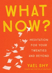 what now meditation for your twenties and beyond cover | luxury homes by brittany corporation