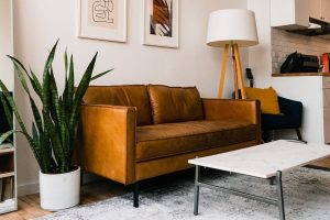 brown leather couch with big snake plant | luxury homes by brittany corporation