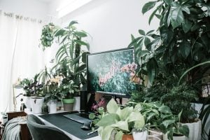 desktop with a lot of plants all around it | luxury homes by brittany corporation