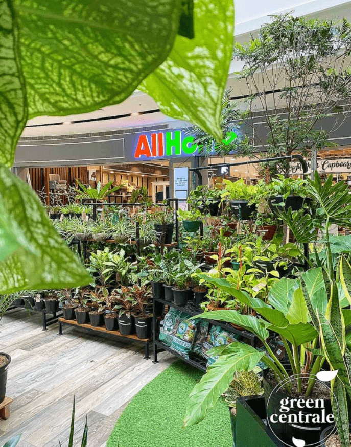 Best Garden Stores in Santa Rosa Laguna Brittany Corporation