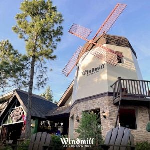 windmill at lausanne at crosswinds | luxury homes by brittany corporation