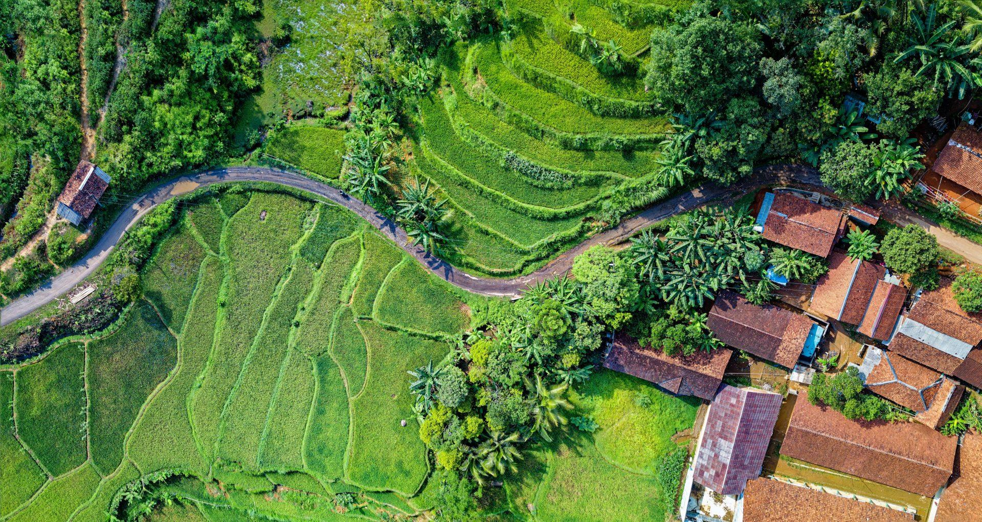 Land ownership is a major concern in the Philippines that is being solved through land reform Photo by Tom Fisk from Pexels