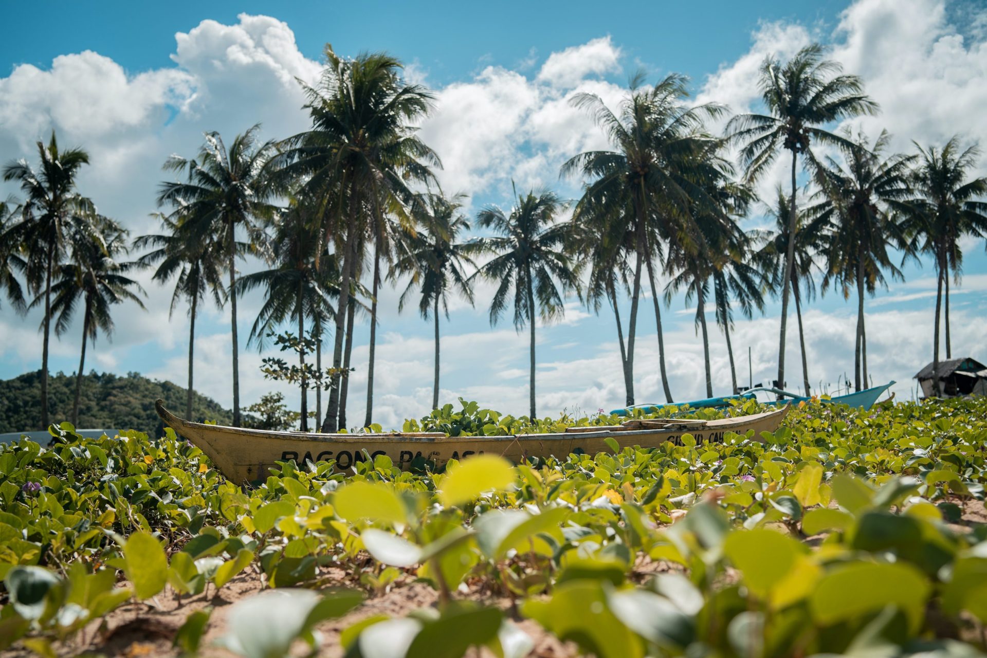 The weather in the Philippines is mostly humid throughout the year