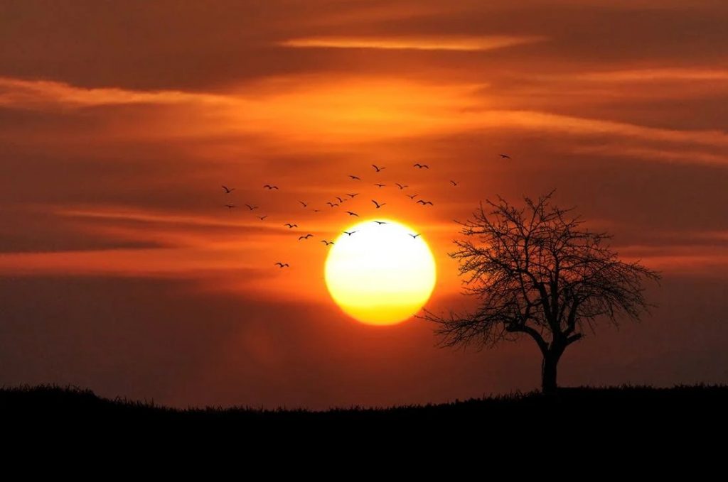 Take part in the National Capture the Sunset Week | Brittany