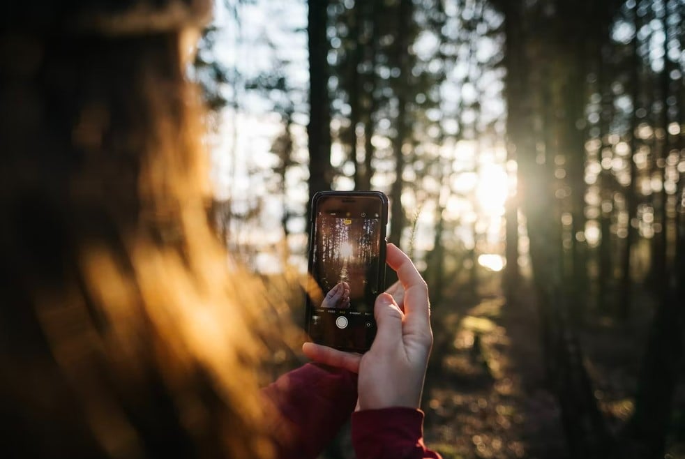 person taking photo in forest - National Capture the Sunset Week