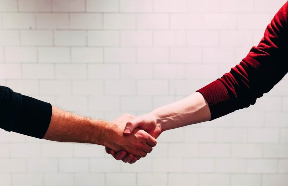 two person shaking hands near white painted wall trustworthiness