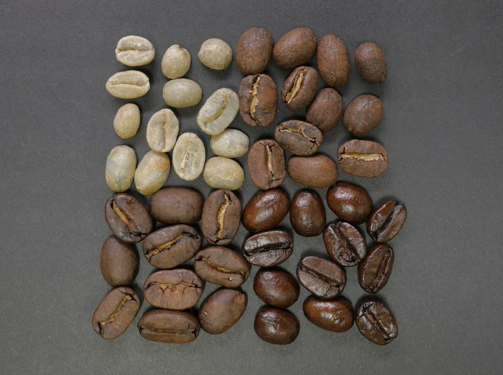 Photo of different kinds of coffee beans