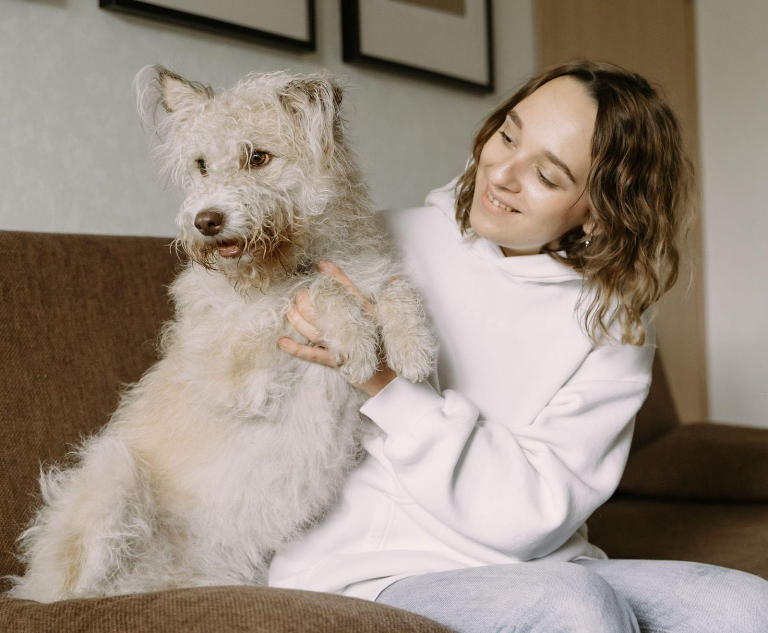 PetFriendly Fabrics for Your Dream Interiors Brittany Corporation