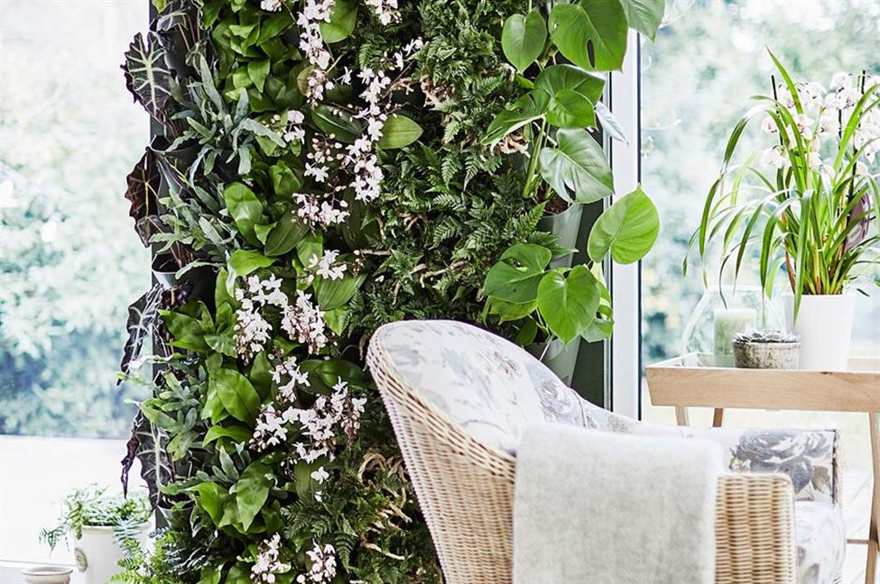 Refreshing emotion with plants in the living room