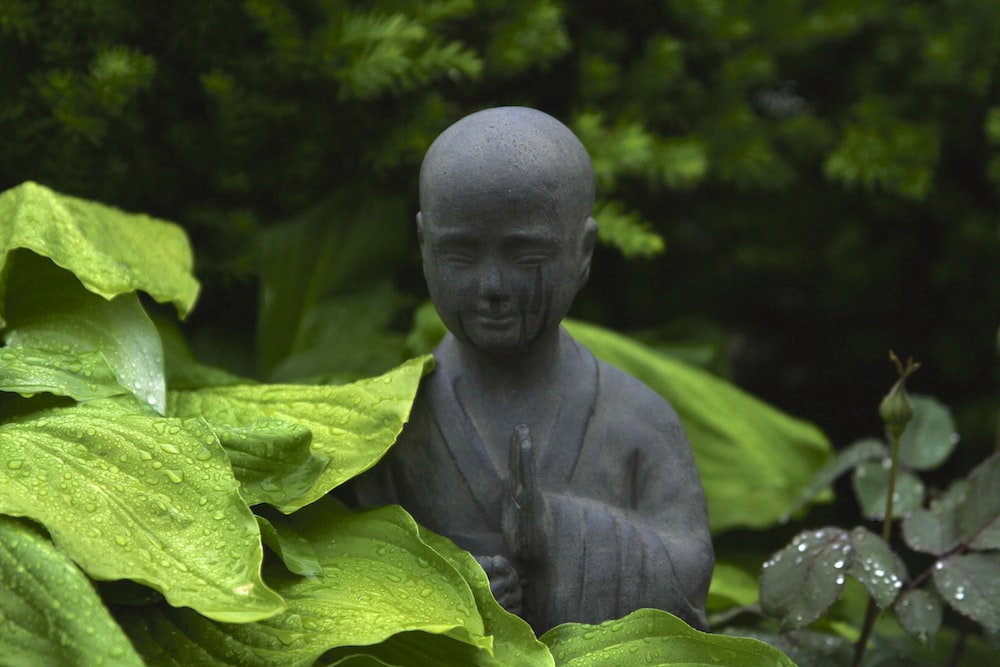 monk statue surrounded by plants outdoor during day zen garden