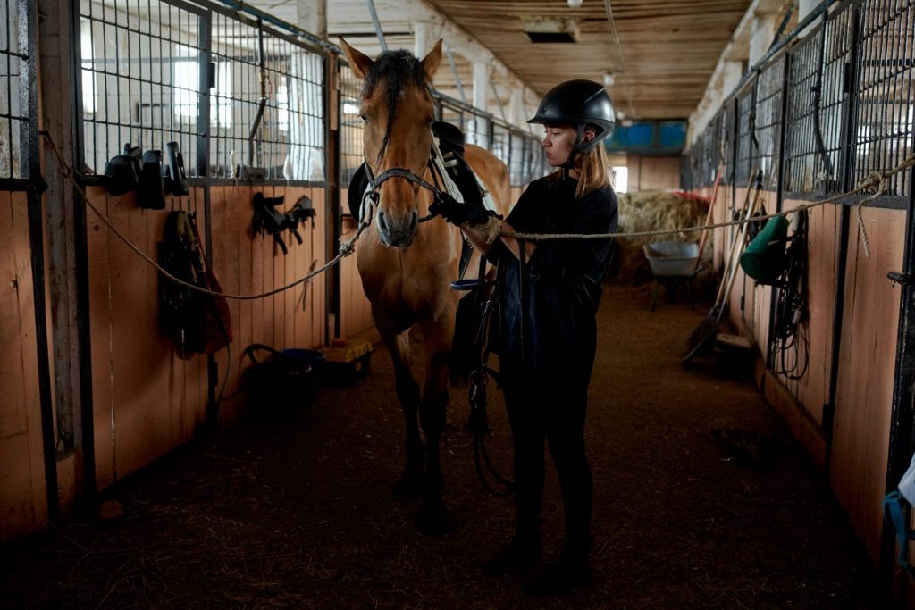 Knowing basic horse knowledge is important in equestrianism