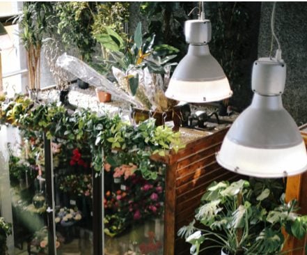 Smart Home Devices Designed for Indoor Gardens