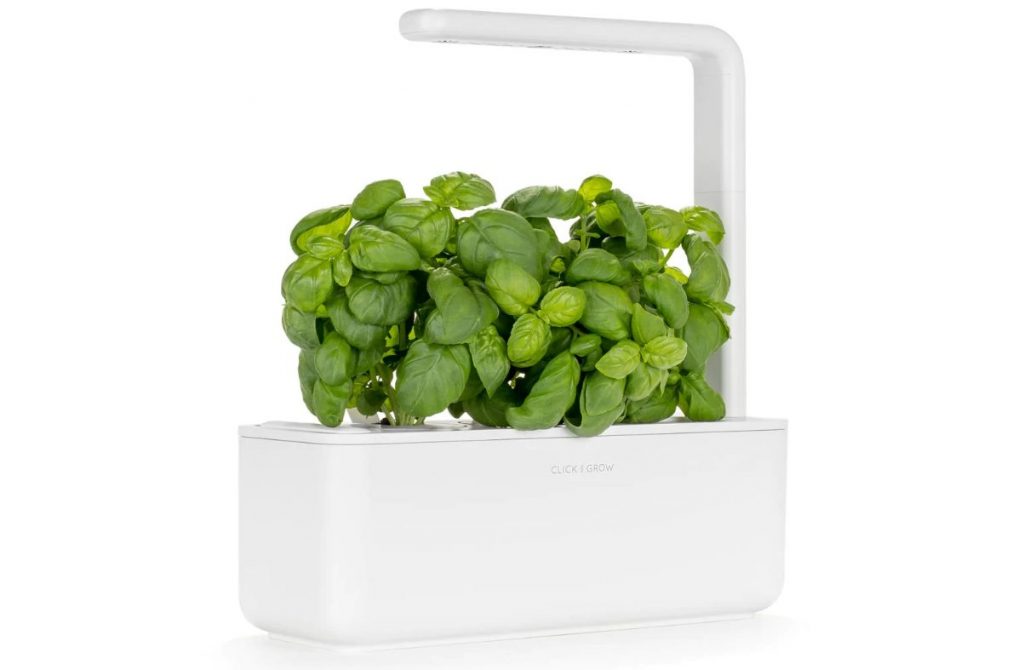 This portable smart garden is entirely self-sufficient, perfect for beginners