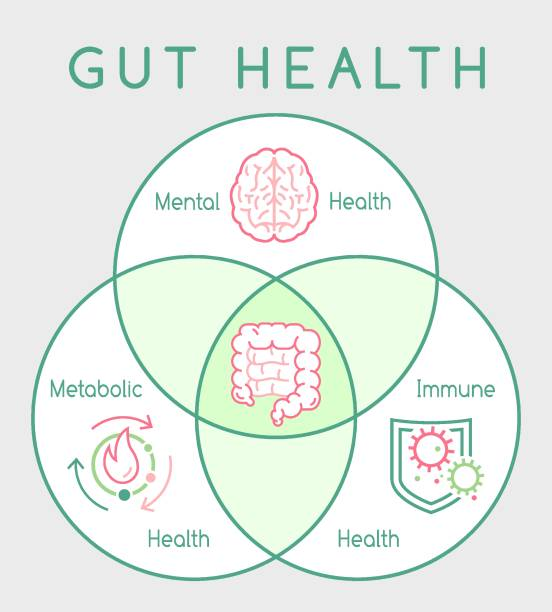 how gut microbiome affects health