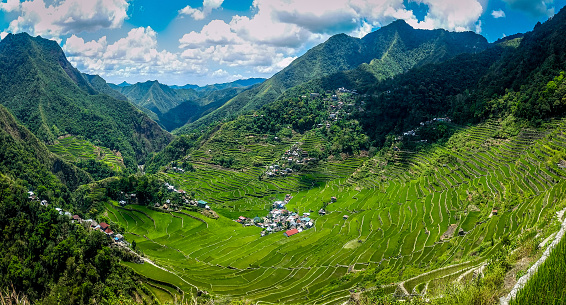 Panoramic view of rice terraces. Batad, Philippines baguio-cebu services