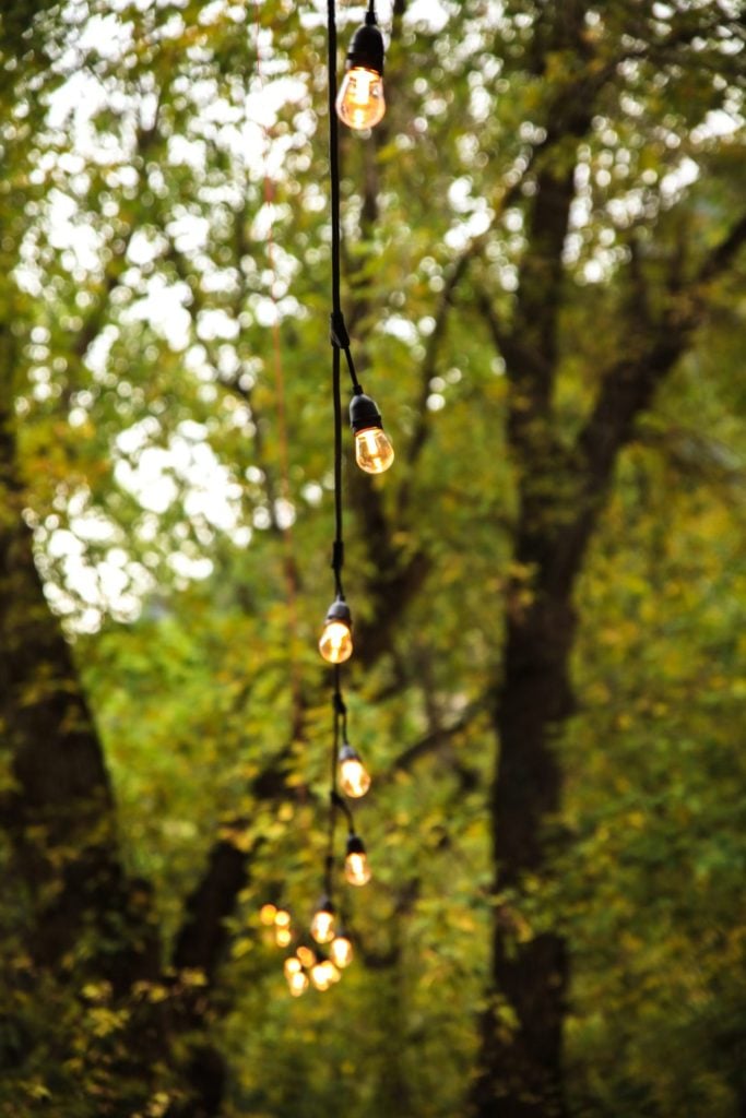 Use string lights on your outdoor tree