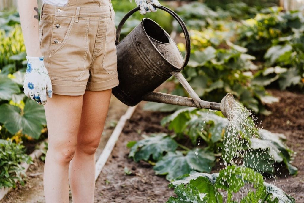 home gardening for italian meat dishes