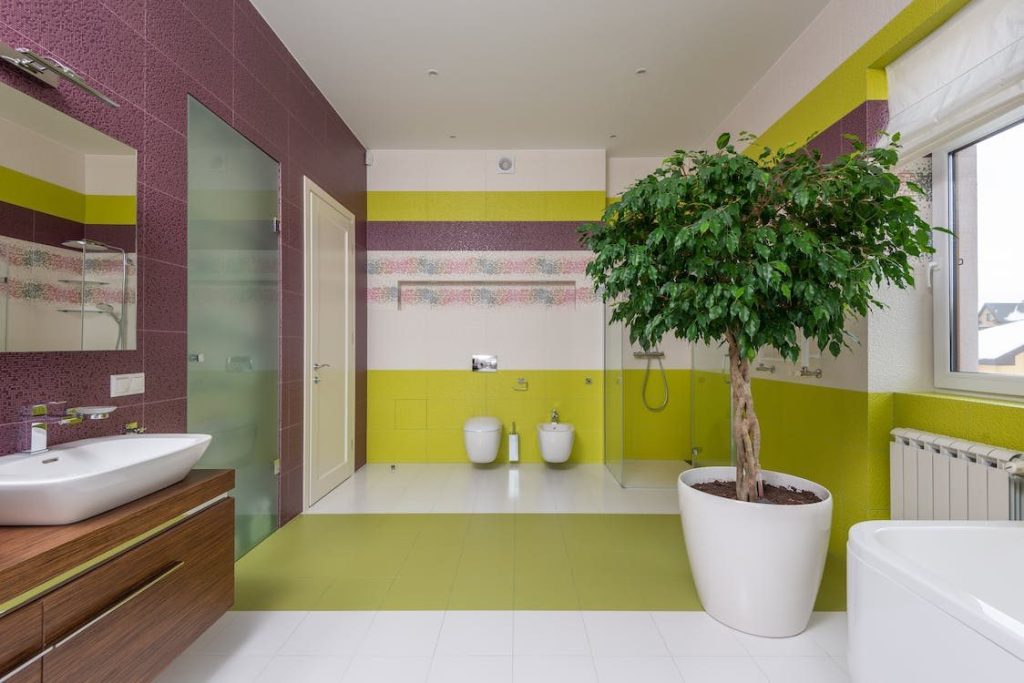 luxury shower Indoor Plants