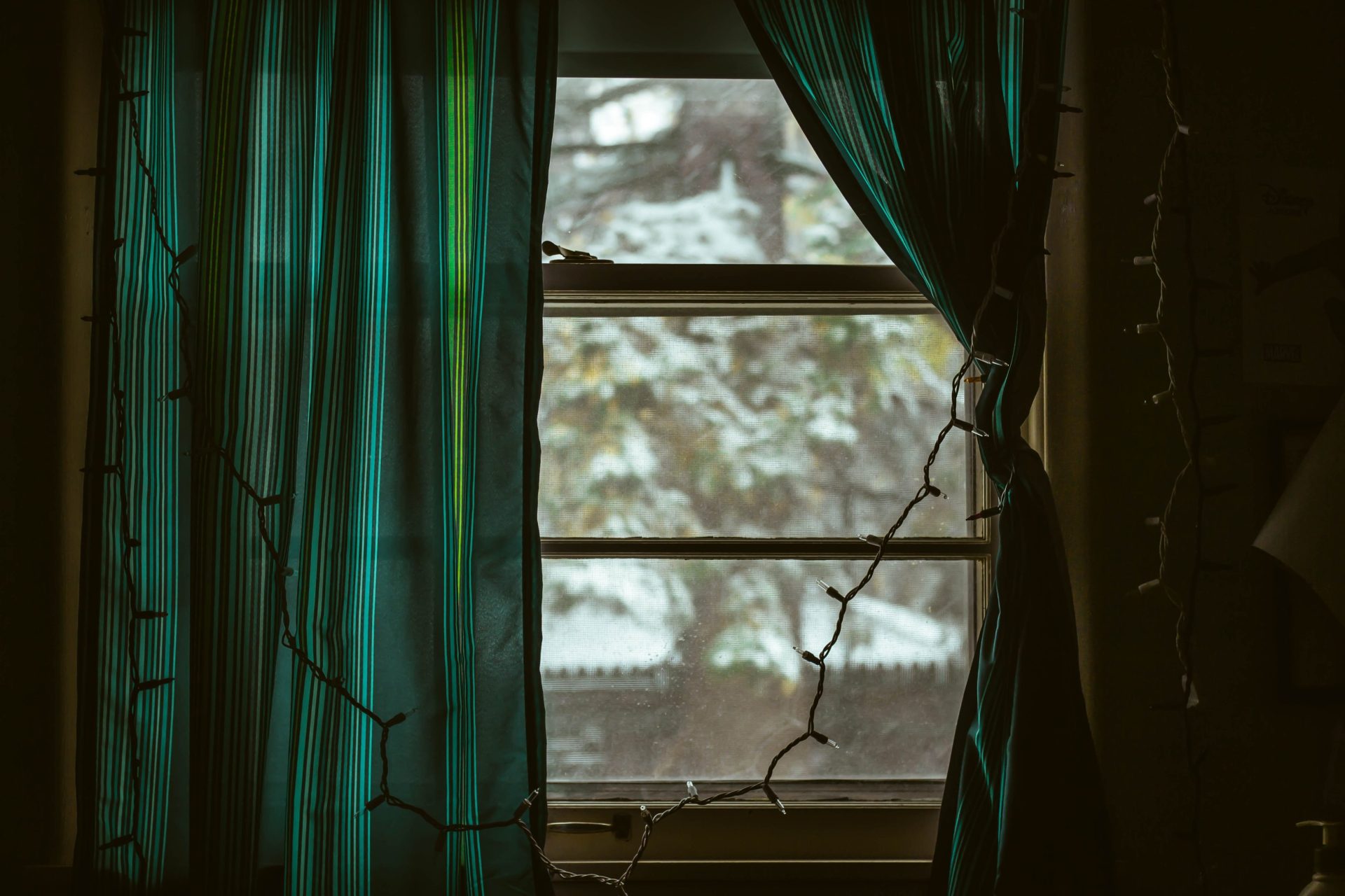 nature inspired curtains