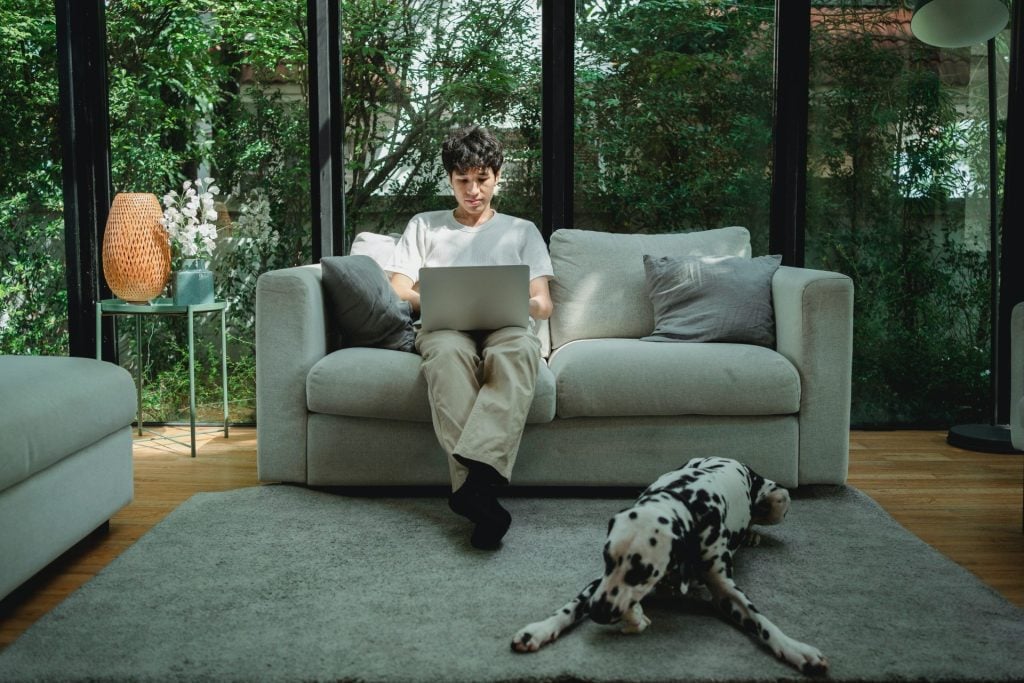 Pet on a Carpet in a Luxury Home